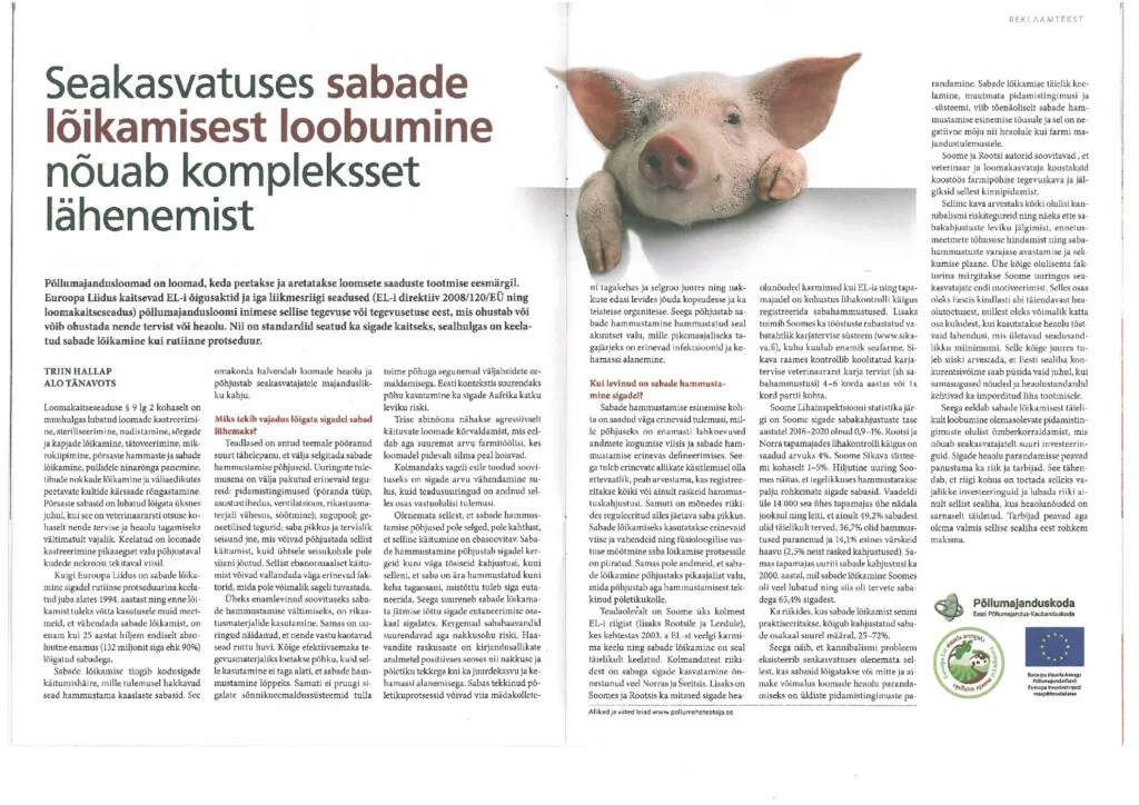 Sigade sabade lõikamise artikkel Põllumehe Teatajas, september 2022