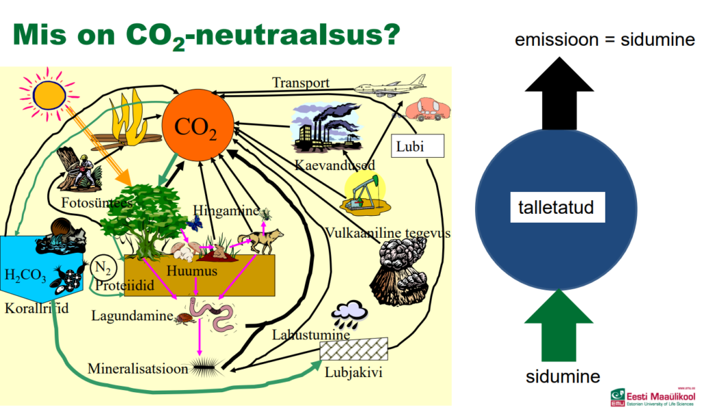 süsinikuneutraalsuse skeem