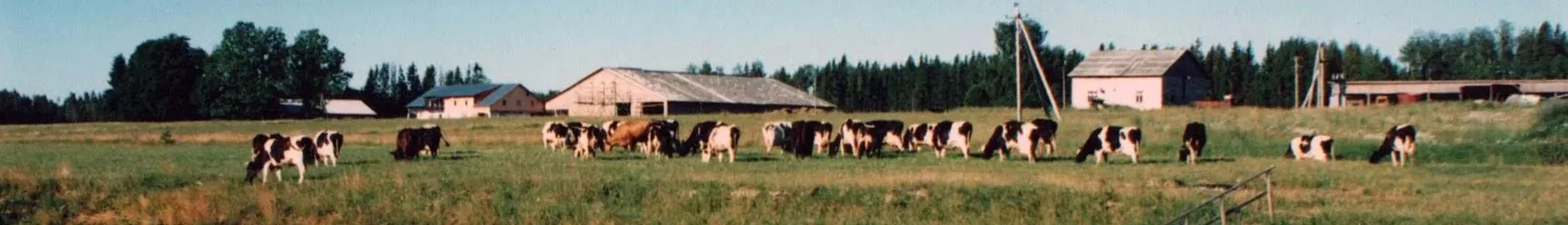 Pajumäe talu Viljar Veidenbergi kogemuslugu