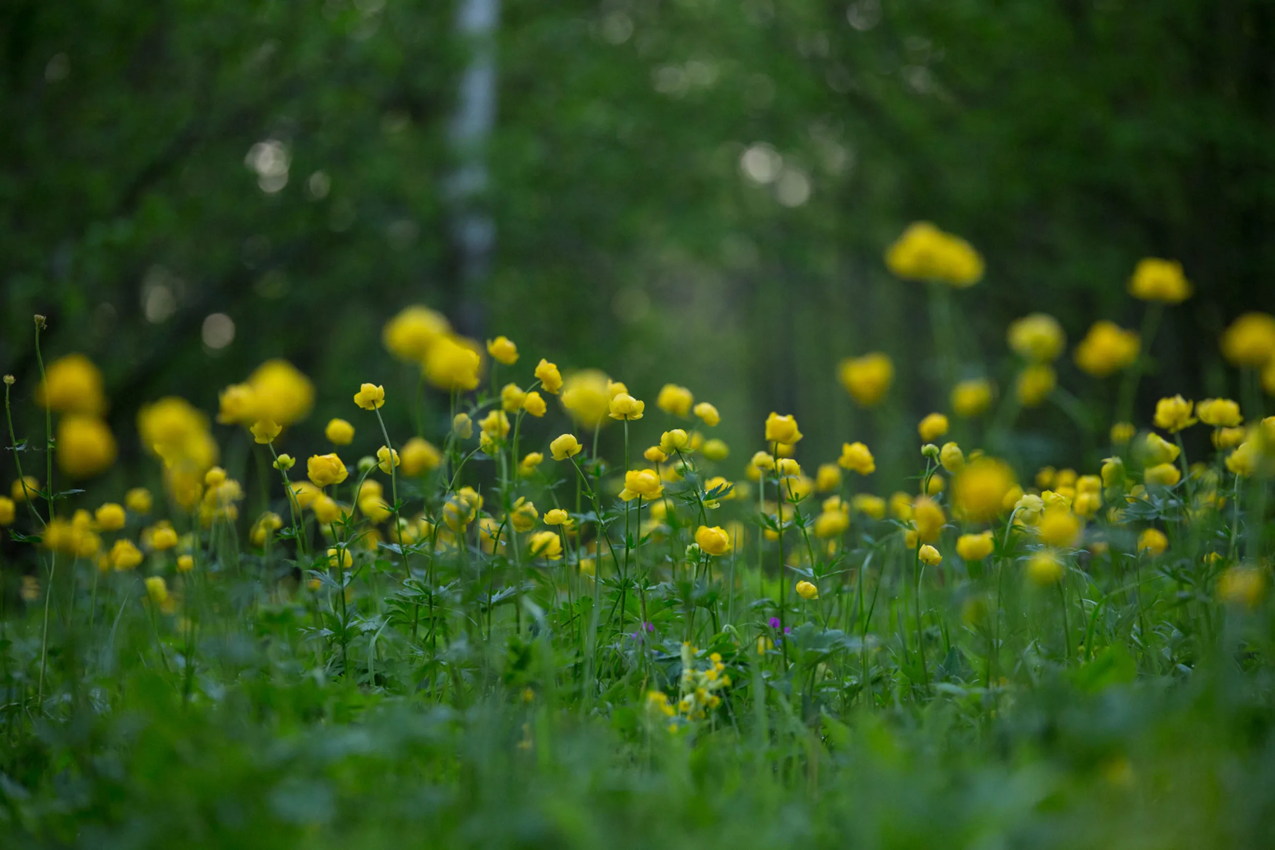 Keskkonnatoetuste õpe Keskkonnatoetuste õpe