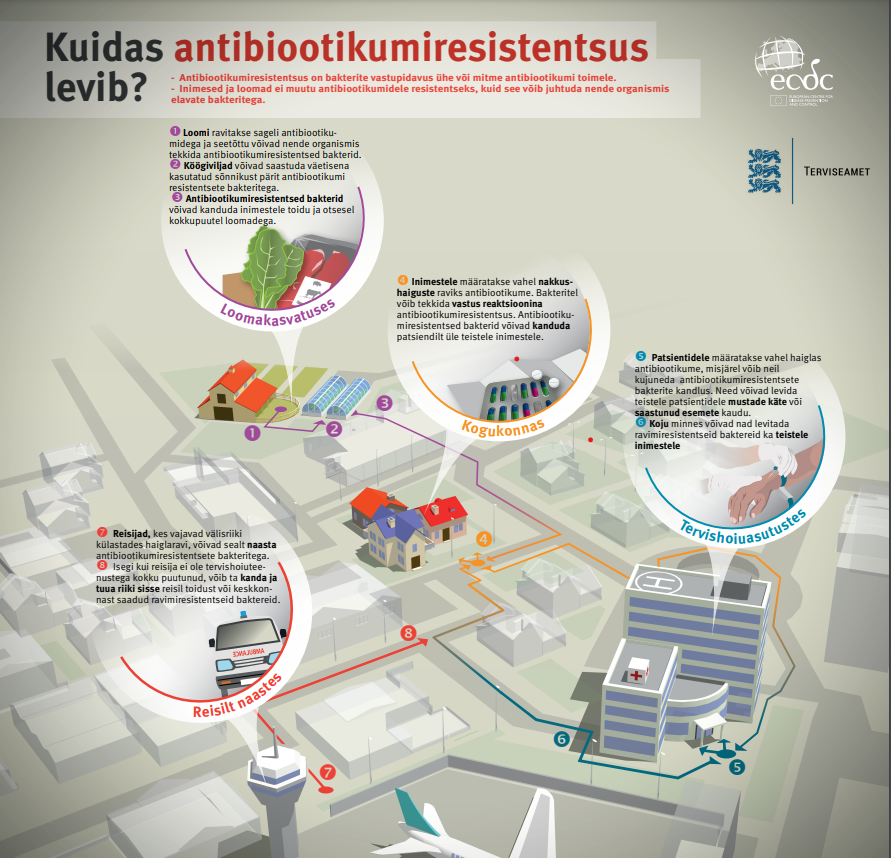 Plakat - kuidas antibiootikumiresistentsus levib?